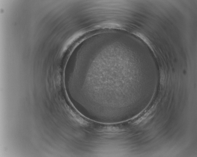 X0000063511115200601271804