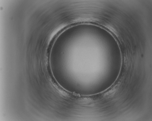 X0000063511119200601271804