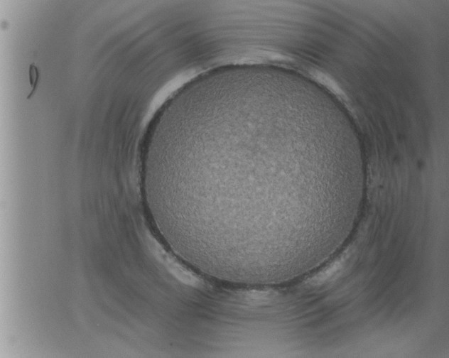 X0000063511122200601271804