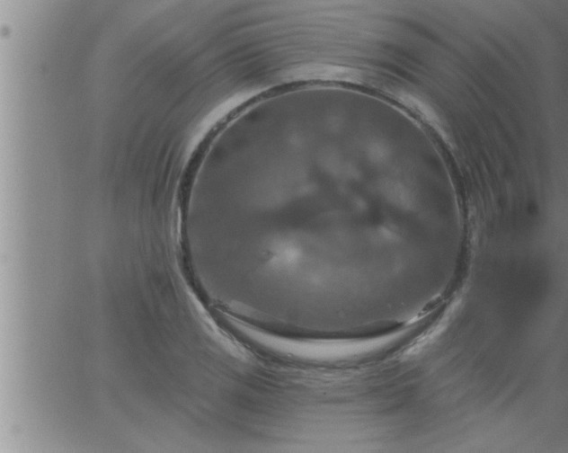 X0000063511125200601271804