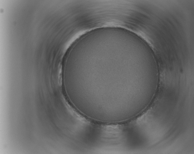 X0000063511126200601271804