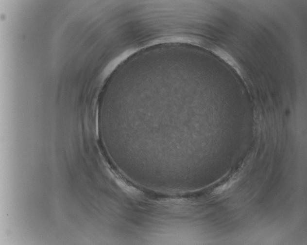 X0000063511127200601271804