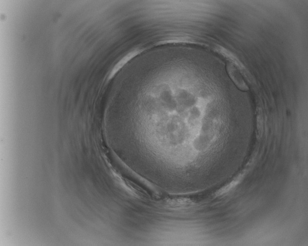 X0000063511129200601271804