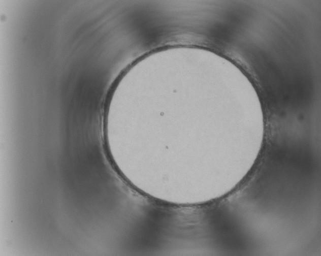 X0000063511130200601271804