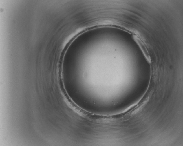 X0000063511134200601271804