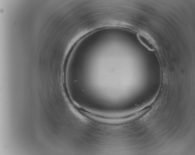 X0000063511136200601271804