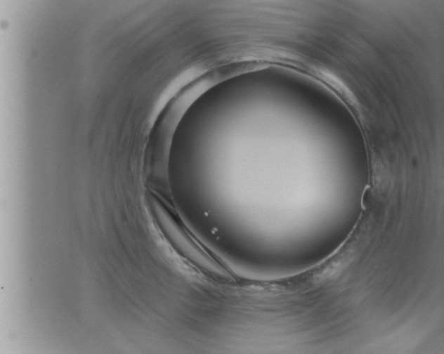 X0000063511138200601271804