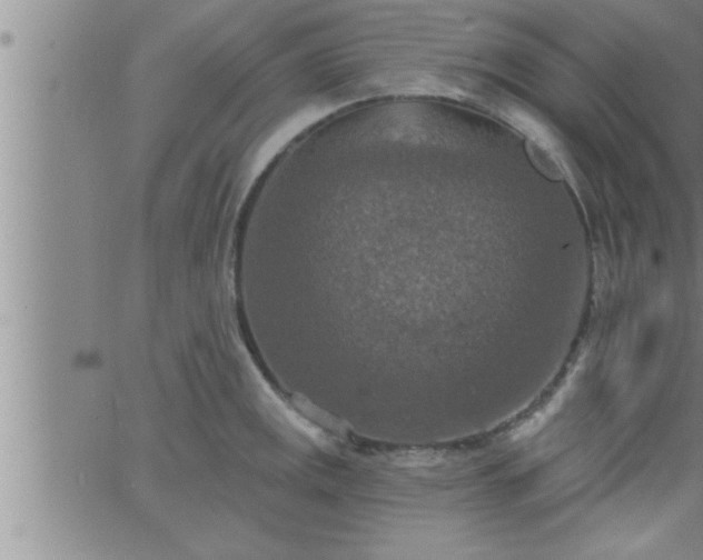 X0000063511141200601271804