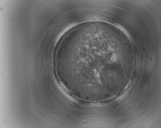 X0000063511142200601271804