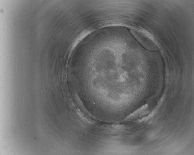 X0000063511145200601271804