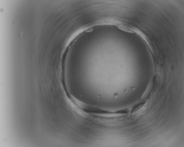 X0000063511147200601271804