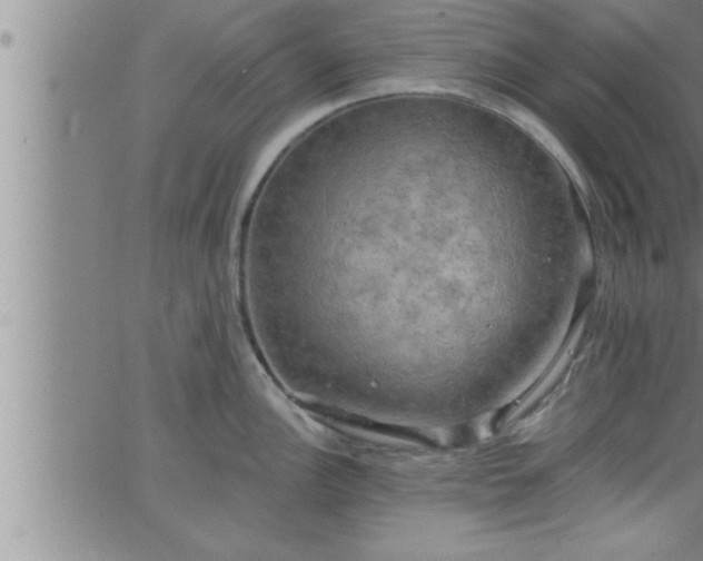 X0000063511148200601271804