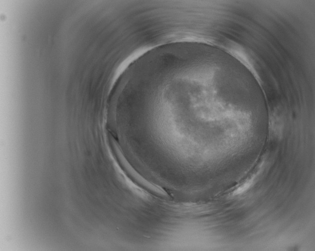 X0000063511149200601271804