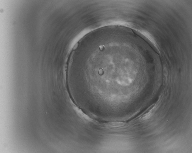 X0000063511151200601271804