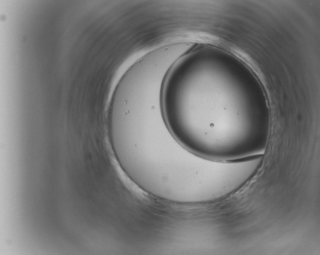 X0000063511152200601271804