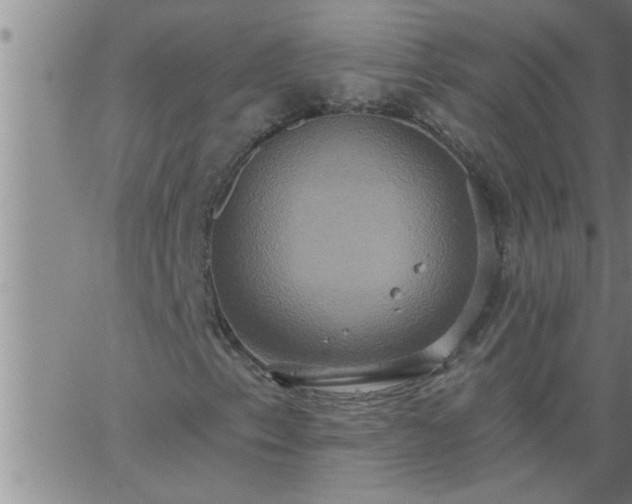 X0000063511153200601271803