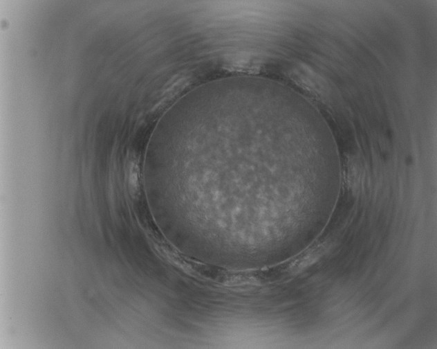 X0000063511154200601271803