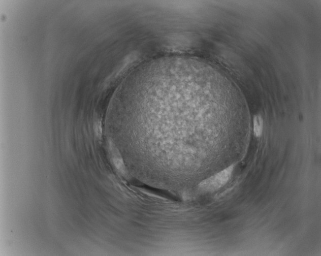 X0000063511155200601271803