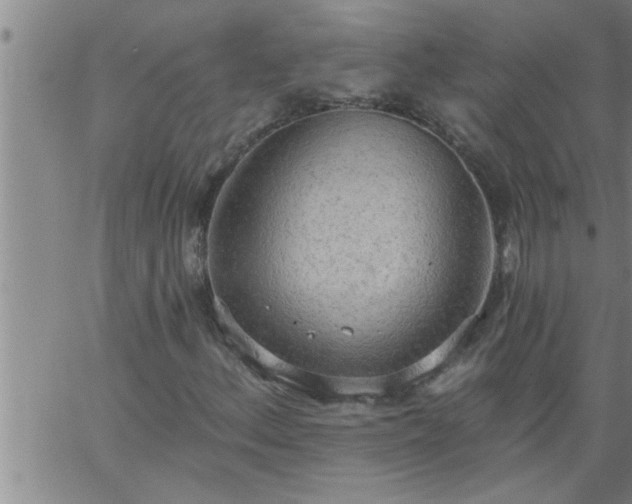 X0000063511156200601271803