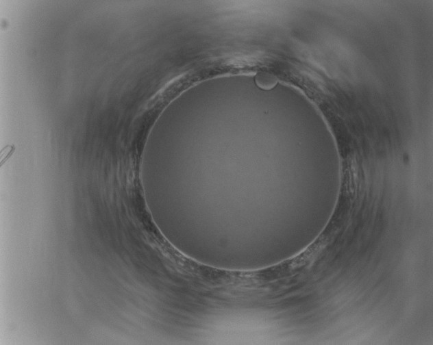 X0000063511158200601271803