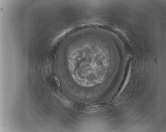 X0000063511159200601271803