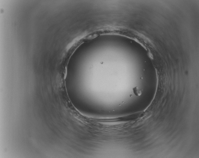 X0000063511160200601271803