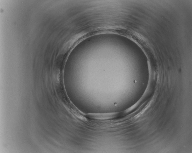 X0000063511161200601271803