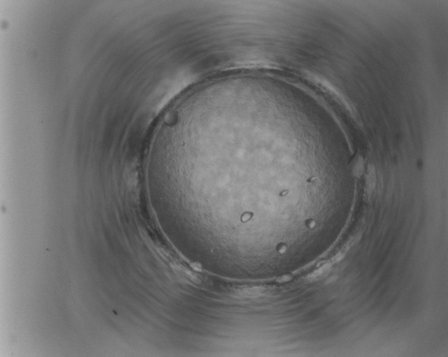 X0000063511162200601271803