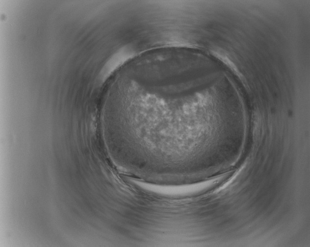 X0000063511163200601271803