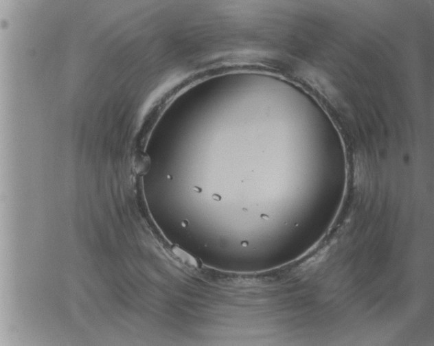 X0000063511164200601271803