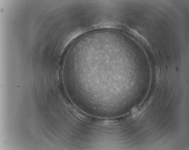 X0000063511166200601271803