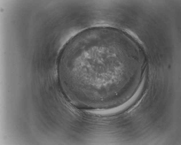 X0000063511167200601271803