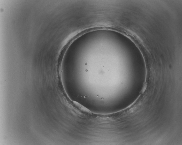 X0000063511168200601271803