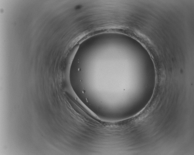 X0000063511169200601271803