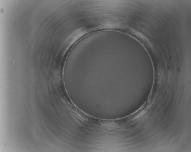 X0000063511170200601271803