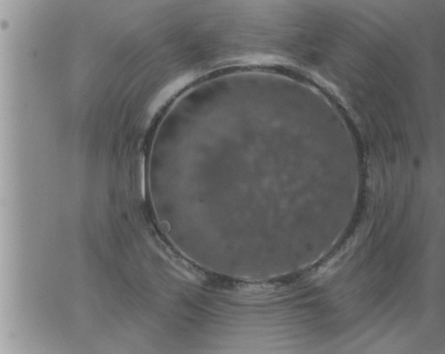 X0000063511171200601271803