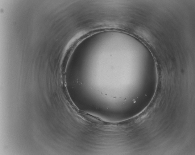 X0000063511172200601271803