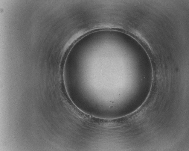 X0000063511173200601271803