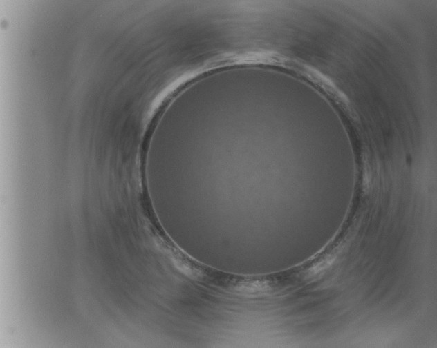 X0000063511174200601271803