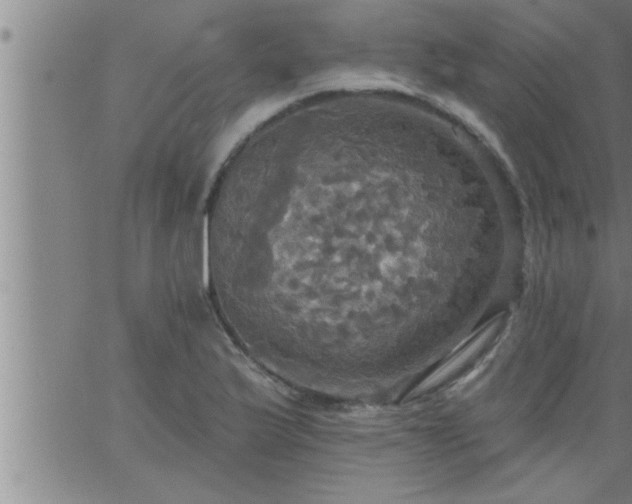 X0000063511175200601271803