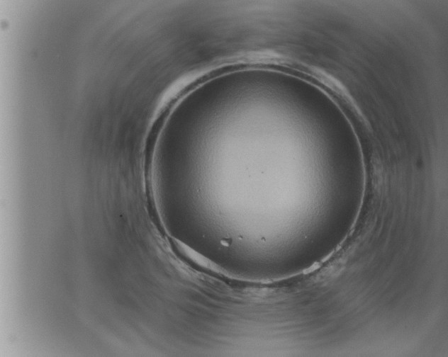 X0000063511176200601271803