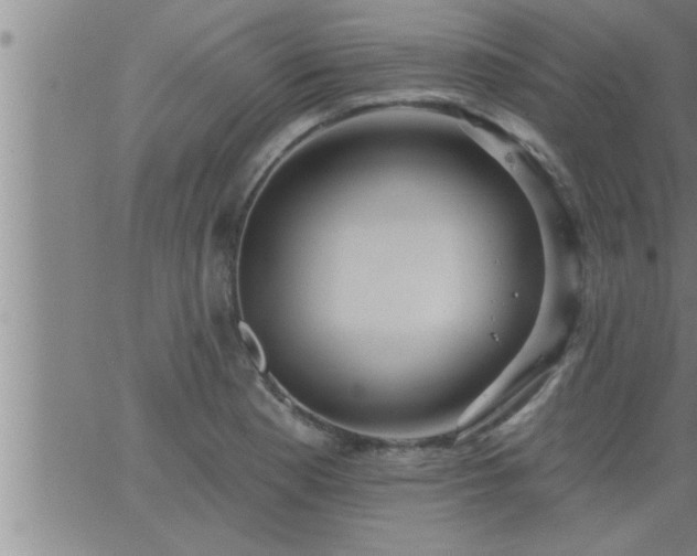 X0000063511177200601271803