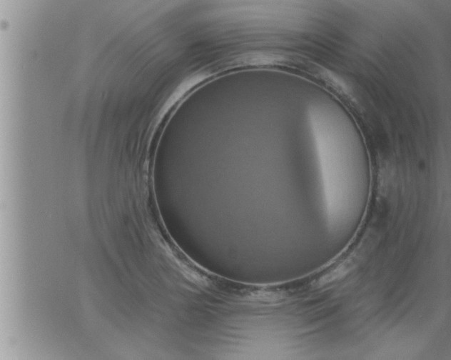 X0000063511178200601271803