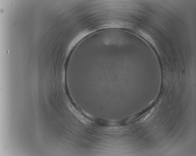 X0000063511179200601271803