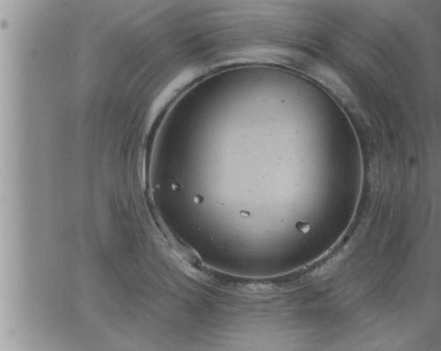 X0000063511180200601271803