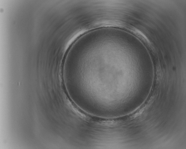 X0000063511182200601271803