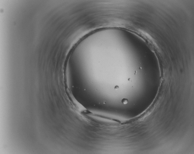 X0000063511184200601271803