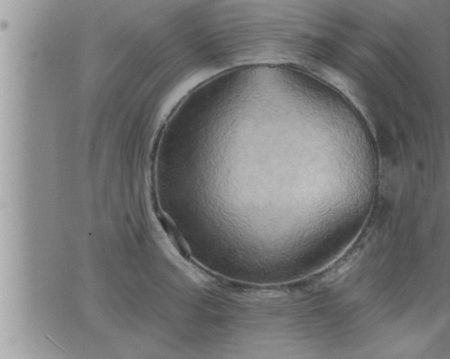 X0000063511187200601271803