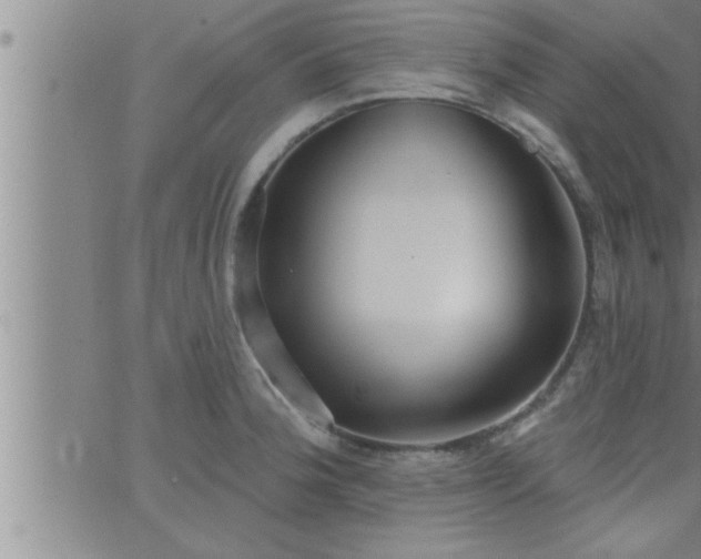 X0000063511188200601271803