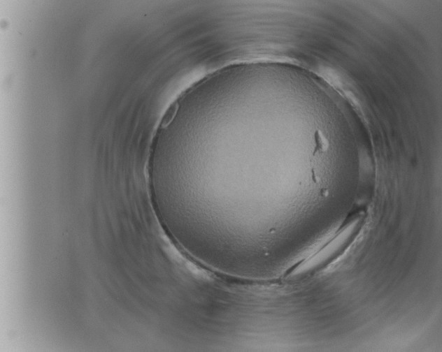 X0000063511189200601271803